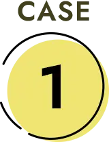 CASE01