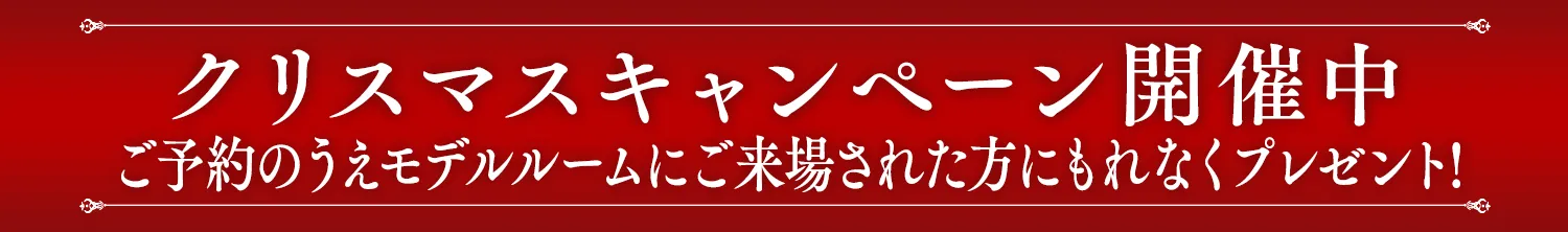 クリスマスキャンペーン開催中