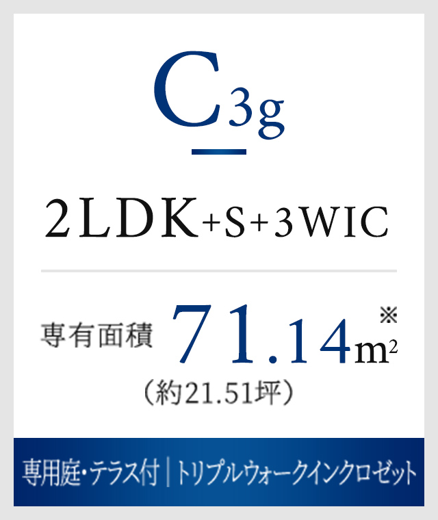 C3gタイプ