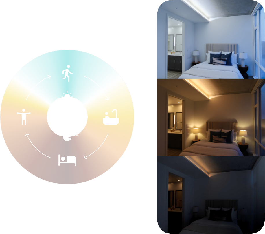 サーカディアンライティング