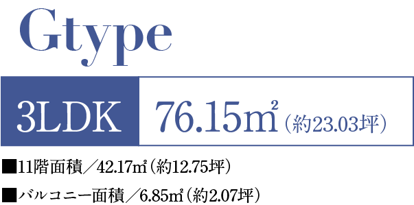 Gタイプ
