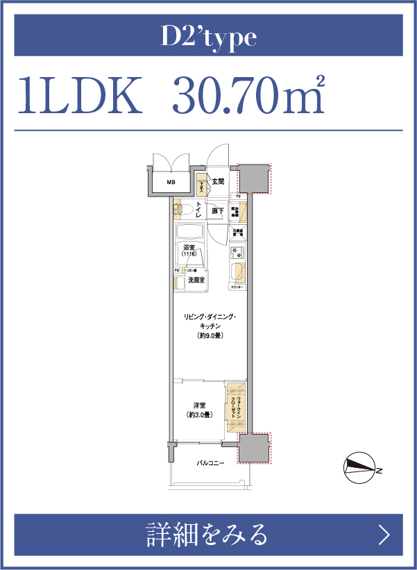 D2タイプ