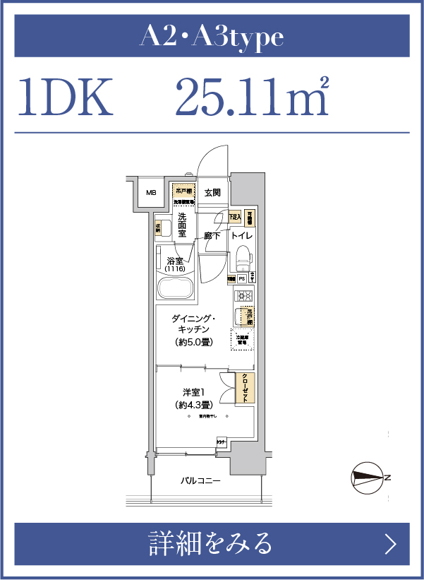 A2・A3タイプ