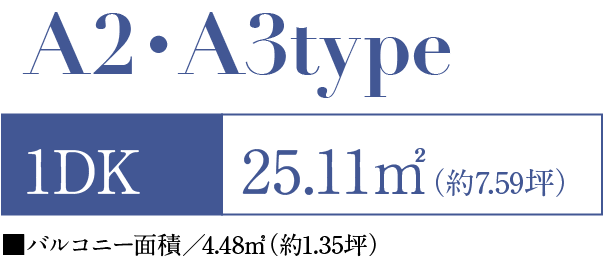 A2・A3タイプ