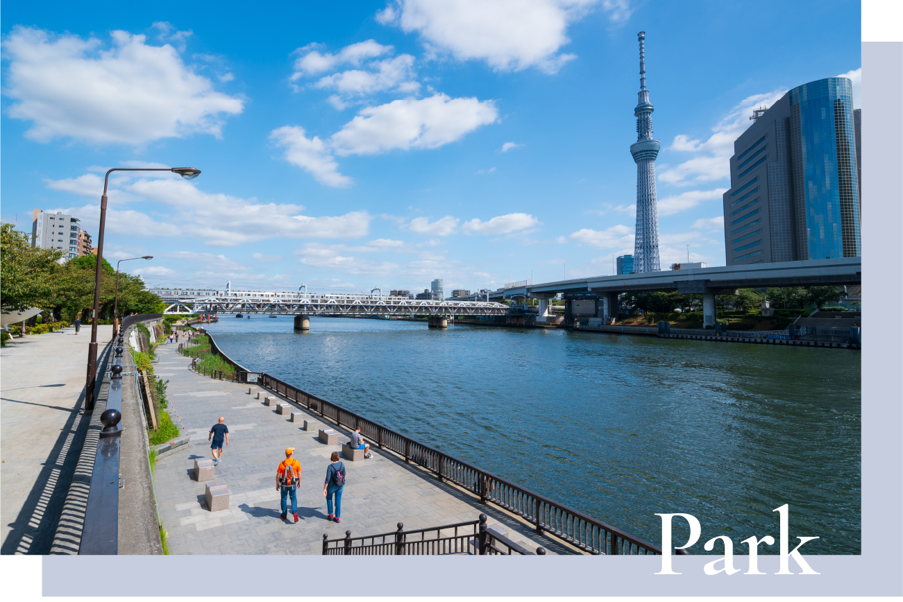 隅田公園 （隅田川）
