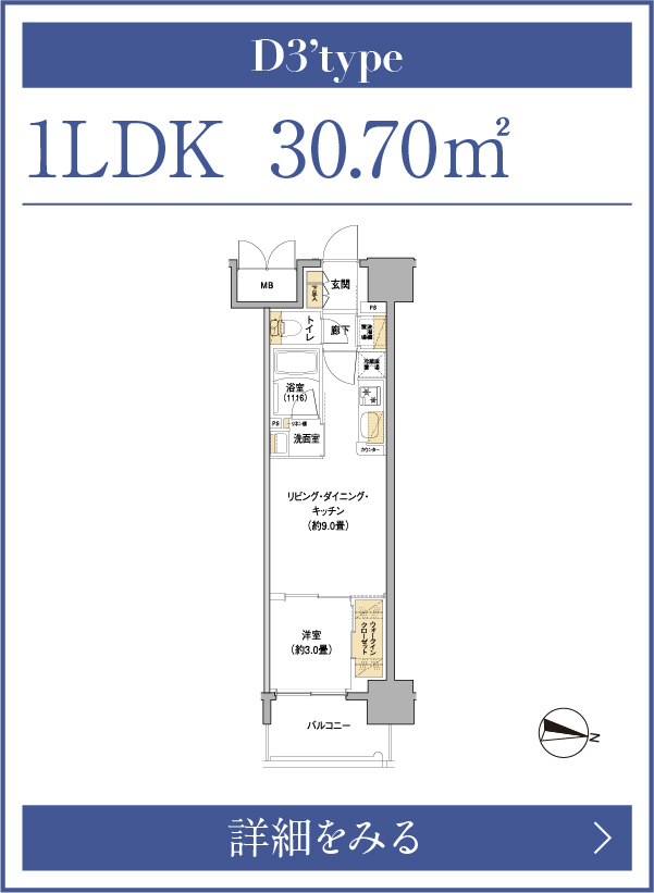 D3'タイプ