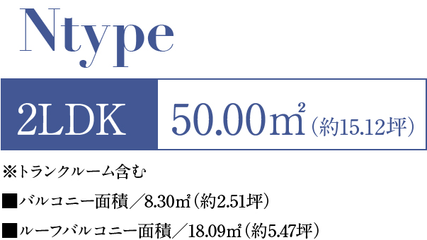 Nタイプ
