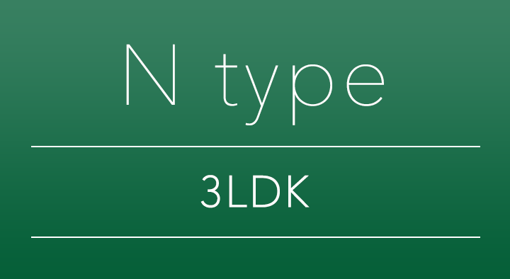 N type
