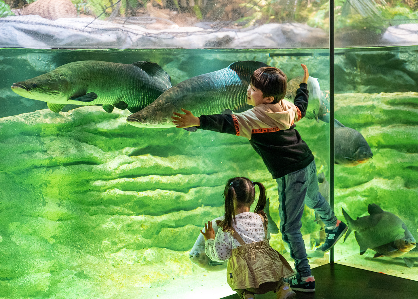 カワスイ川崎水族館