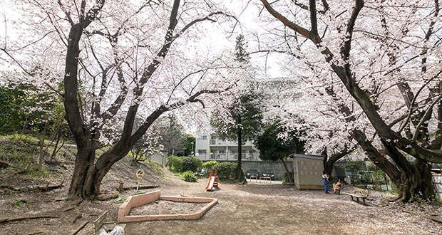 宮前平第3公園