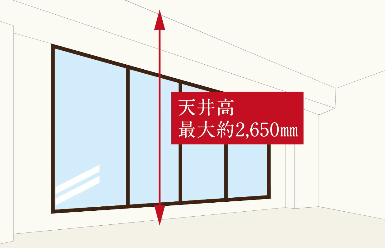 概念図