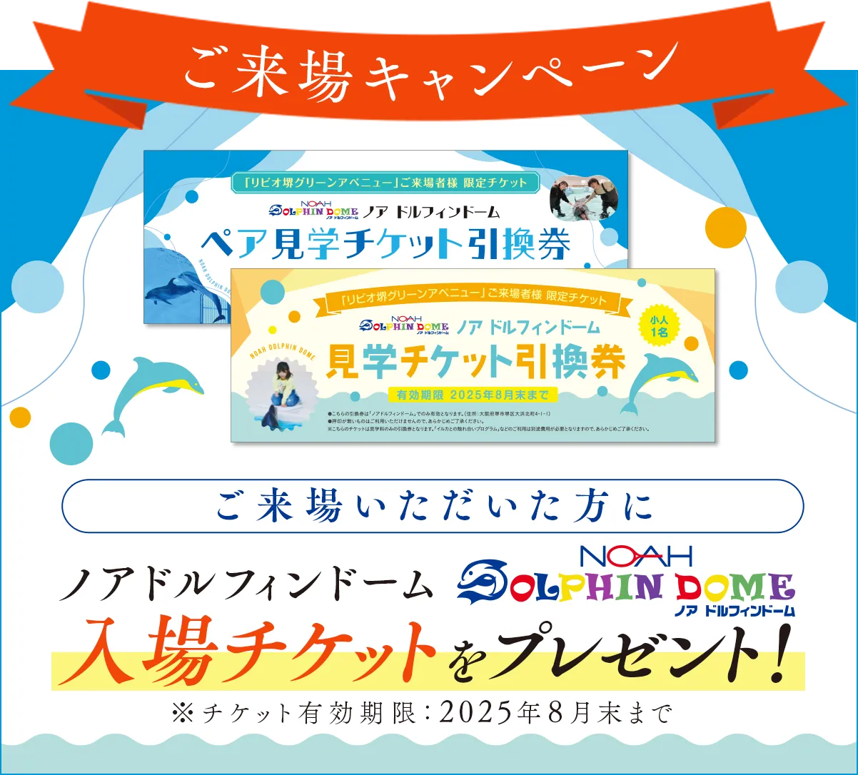 ご来場いただいた方にノアドルフィンドームの入場チケットをプレゼント!