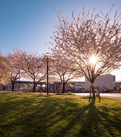 港南緑水公園