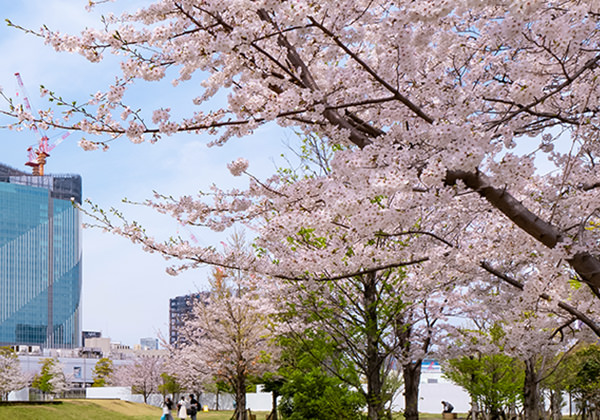 芝浦中央公園